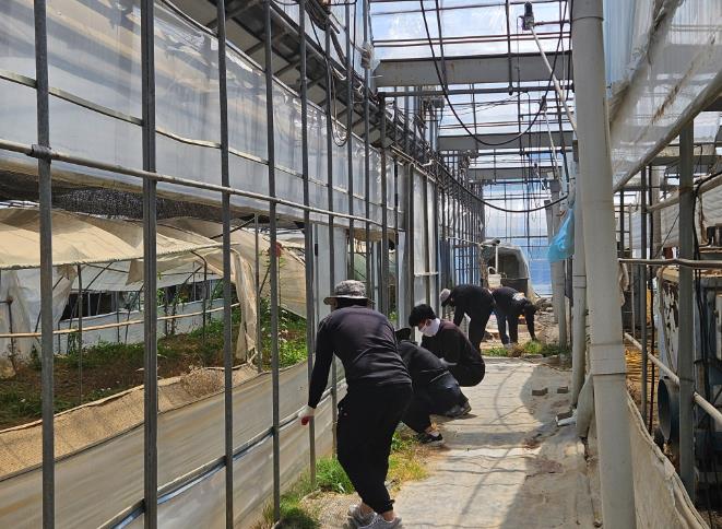 김제시, 농촌 일손 돕기 농가에 작은 보탬