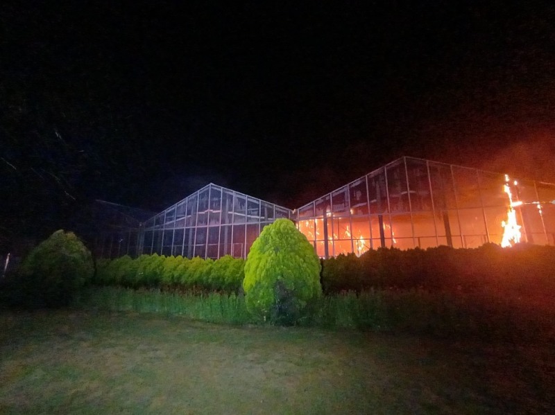 식물원 화재 현장(사진=연합뉴스)