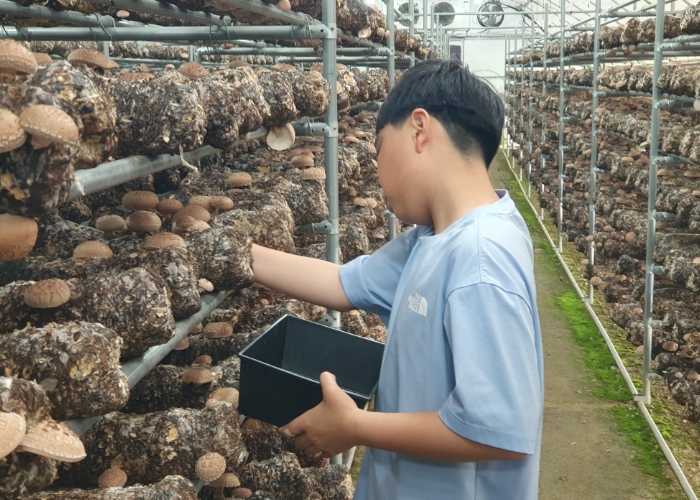 지난 농촌체험 사진