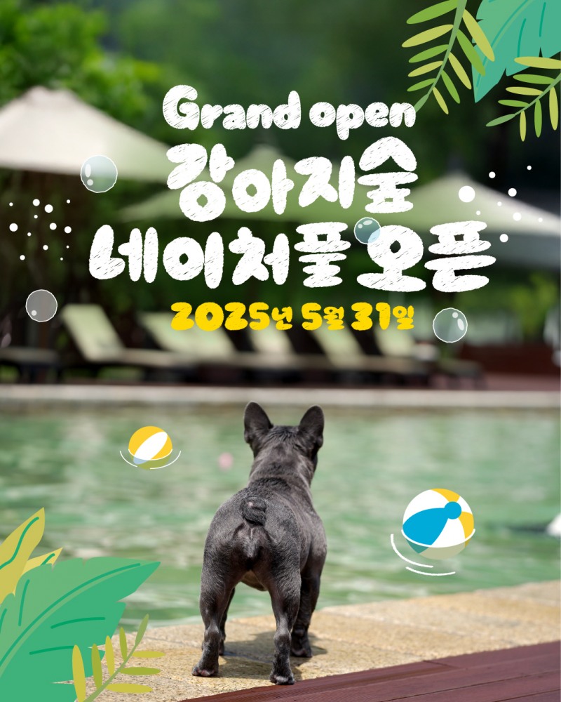 더존비앤씨티 강아지 동반 수영장 ‘네이처풀’, 오픈 예고