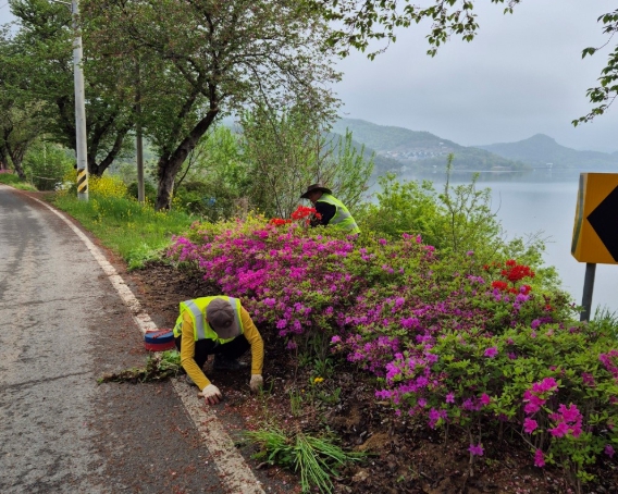 2025년 상반기 지역공동체일자리사업중 다도면 관광명소 주변 꽃길 조성 모습. (사진제공-나주시)