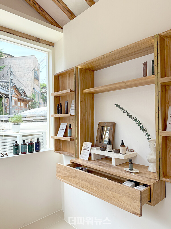 사진:디어드라세나제공