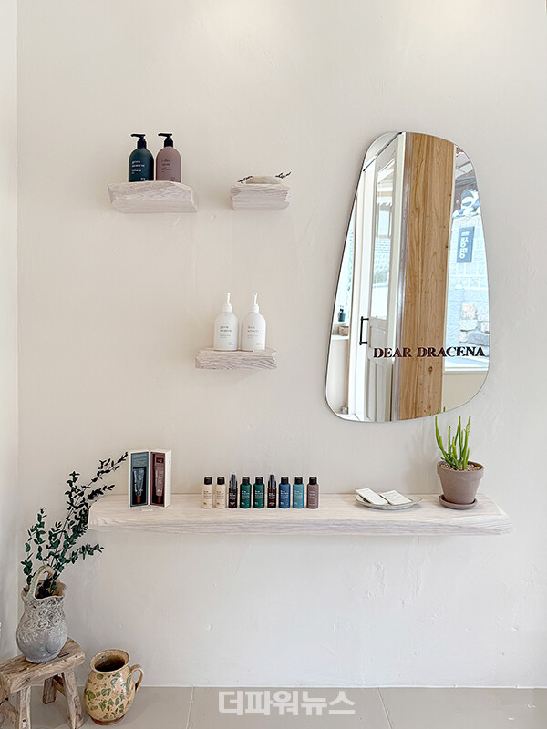 사진:디어드라세나제공