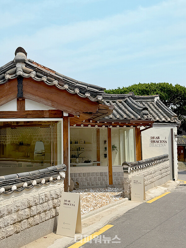 사진:디어드라세나제공