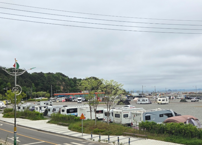 장고항 쓰레기 불법투기 인근 현장