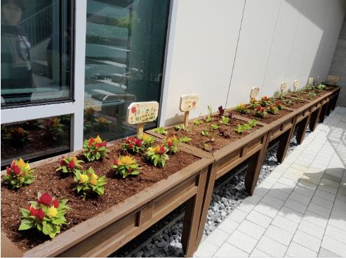 치유텃밭 조성 모습