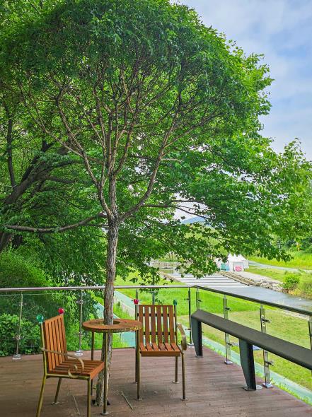 서초구 양재천에 설치된 ‘하벨 벤치’ 사진