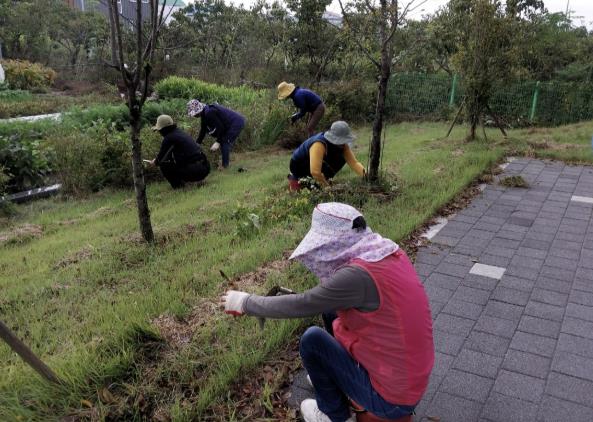 2025년 상반기 공공근로사업 노안산단 주변 풀매기 작업 (사진제공-나주시)