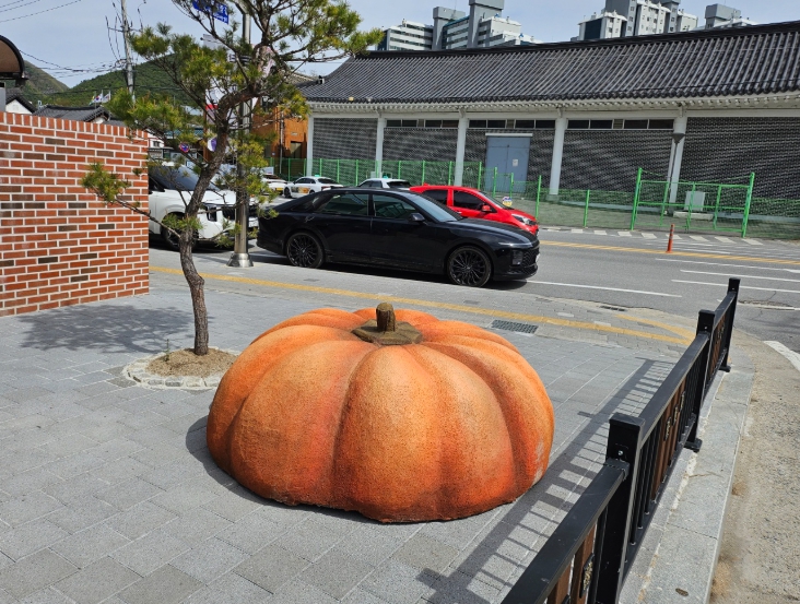 영월군, 안전하고 따뜻한 도시환경