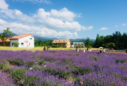 노랑풍선, ‘옐로팡딜’ 진행