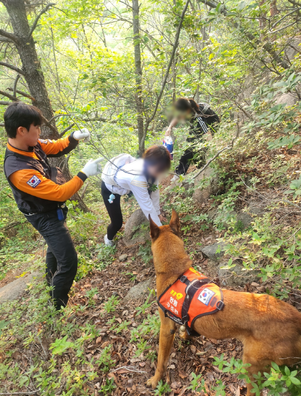 (사진제공=부산소방재난본부)