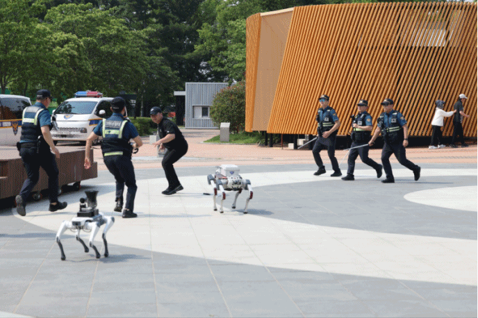 (제공=대구경찰청)