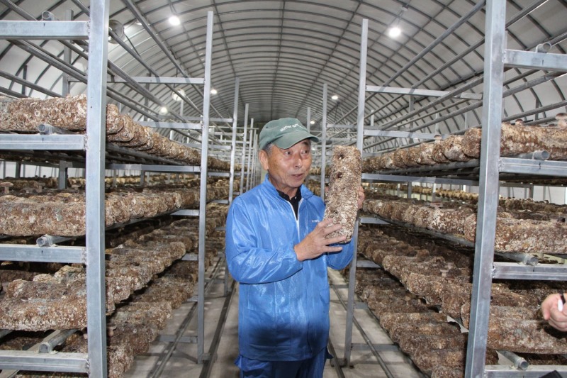 김형태 공동체 운영위원장이 ‘송이표고버섯’재배과정을 설명하고 있다