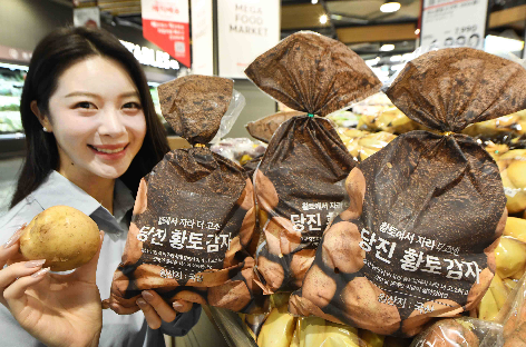 홈플러스, ‘당진 황토 감자’ 선보여