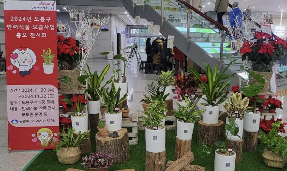 지난해 11월 어르신들이 가꾼 반려식물이 도봉구청 1층 로비에 전시돼 있다.