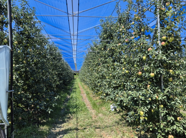무주군 햇빛 차단망 보급 시범사업