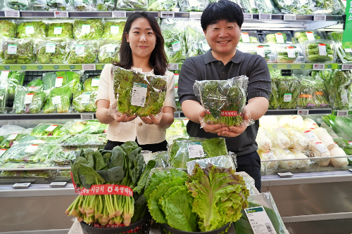 롯데마트 ‘CA저장 시금치’, ‘스마트팜 상추∙깻잎’ 판매 돌입