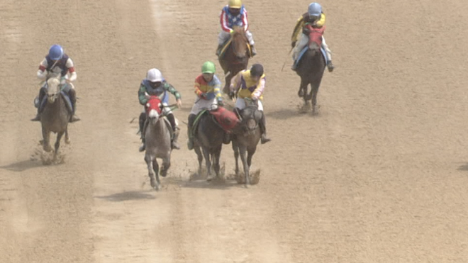"7월 한국경마 명장면"...웃음 안긴 귀여운 제주마 '정정당당'