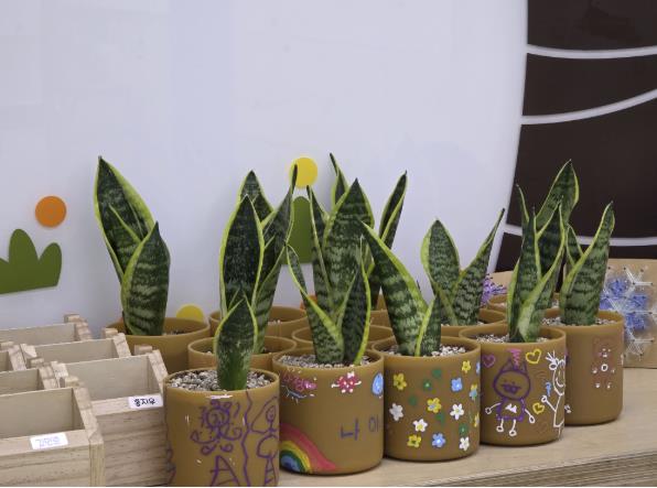 쌀플라스틱 원형화분 만들기 체험 결과물