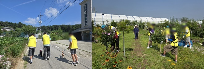 사회봉사 청소년들이 유기견을 산책시키고 있다. 사회봉사 청소년들이 무궁화 잎 수확 활동을 하고 있다.(사진제공=평택보호관찰소)
