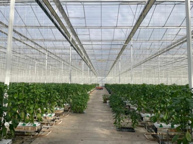 남원시, 청년창업 스마트팜 패키지 지원사업 추진