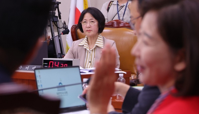 추미애 법사위원장(사진=연합뉴스)