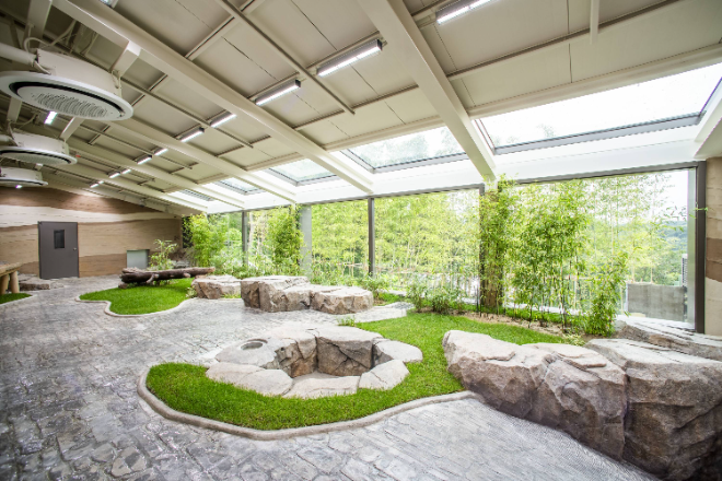 에버랜드, 쌍둥이 새 보금자리 '판다 세컨하우스' 내달 3일 오픈