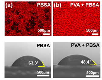 코스메카코리아, 차세대 친환경 선스크린 개발에 성과 거둬