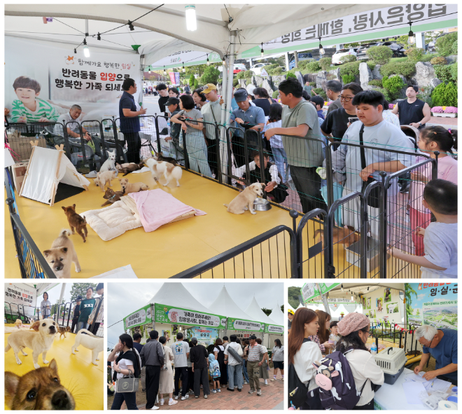 ▲치즈축제기간 동안 운영된 유기견 입양 부스 (사진=임실군)