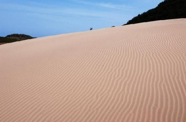 한국의 작은 사하라 사막 옥죽동 해변