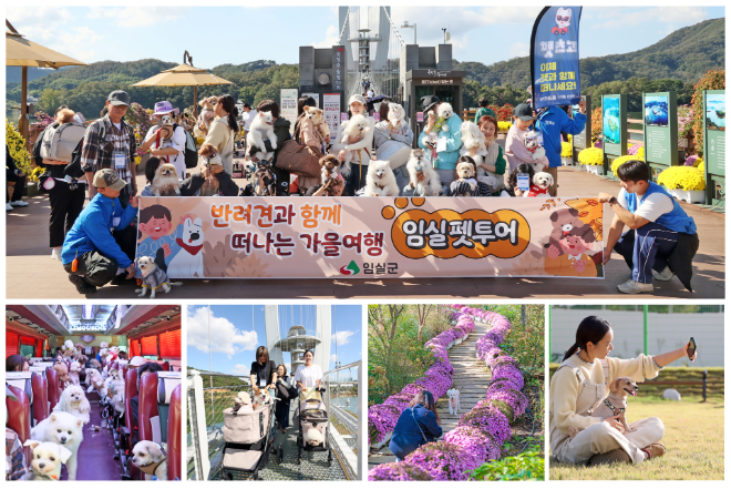 ▲전북 임실군이 반려동물과 함께하는 특별한 여행 프로그램 '펫투어'를 진행하고 있다.(사진=임실군)