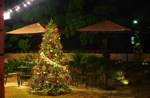 스타벅스, 연말 맞아 전국 13개 스페셜 스토어 크리스마스 트리 설치