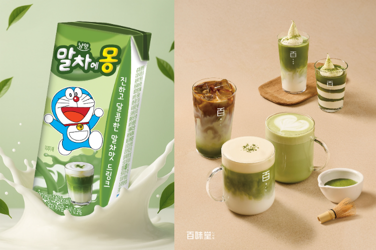 남양유업, 말차 제품 다각화로 시장 확대