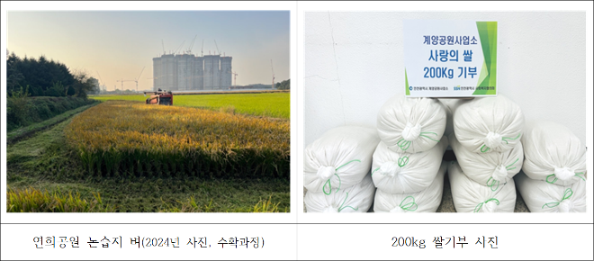 현장사진 / 인천시청