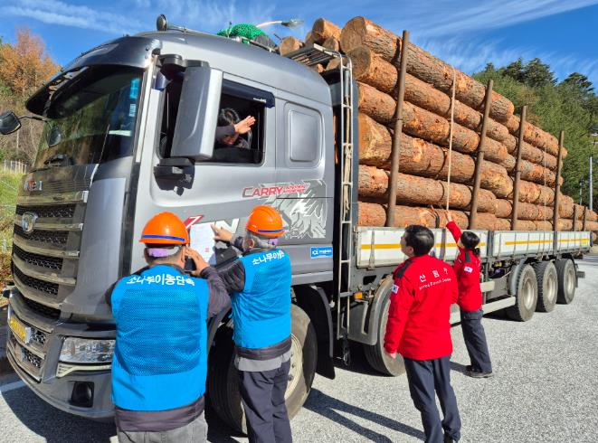 정선군, 2025년 가을철 소나무류 이동 특별단속 추진
