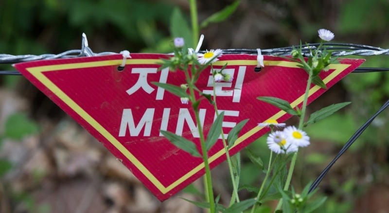 비무장지대 지뢰 푯말(사진=연합뉴스)