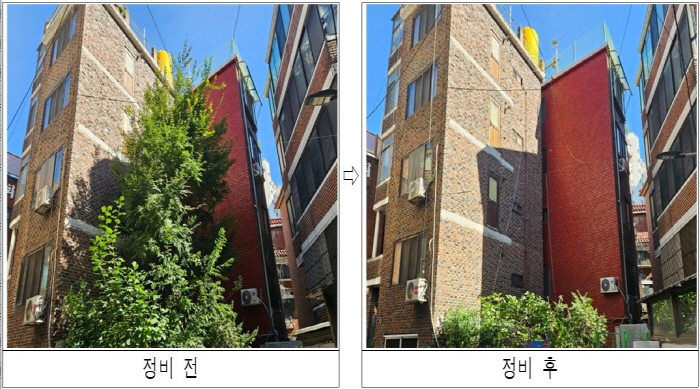 주택가 내 위험수목 정비 전후 모습