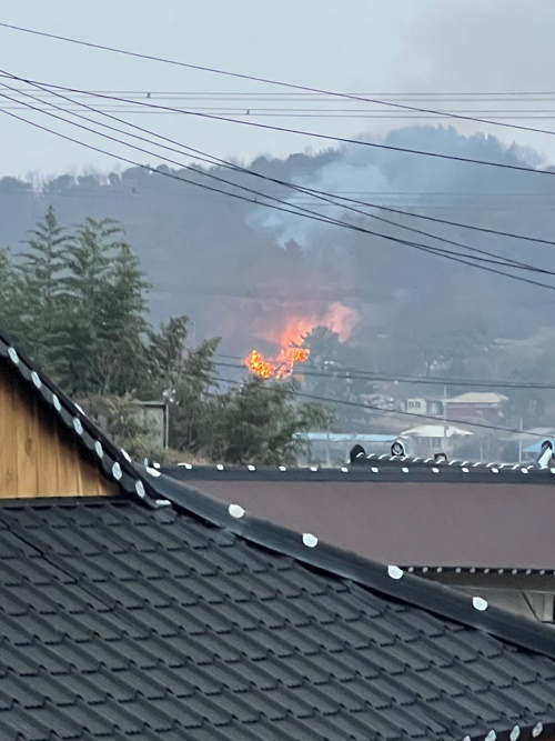 (사진제공=산림청)