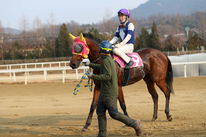 ‘제12회 MBN배’, 출전마 중 가장 어린 ‘태양의전사’ 여유로운 우승