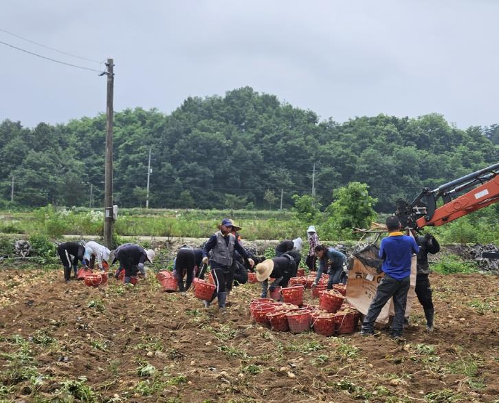 충주시, 2025년 외국인 계절근로자 사업 성료