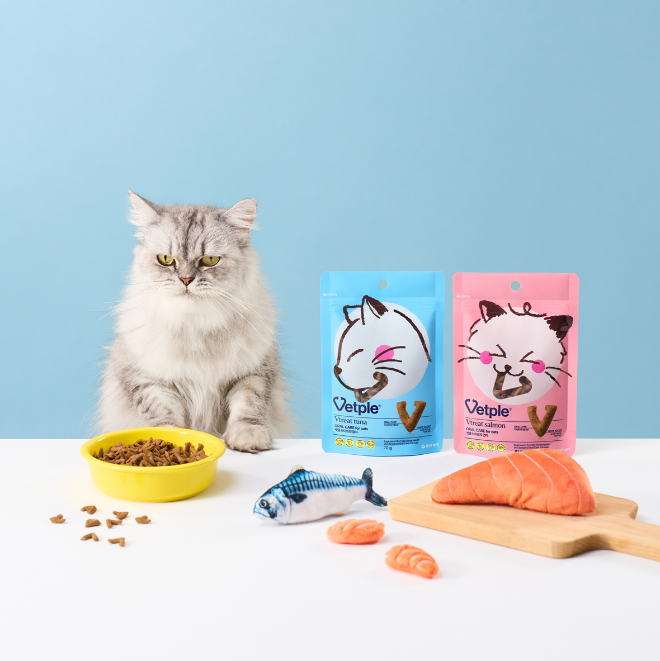 동아제약, 씹으면서 관리하는 고양이 구강 건강 ‘벳플 브이트릿 2종’ 출시