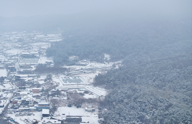 설국이 된 춘천.(사진=연합뉴스)