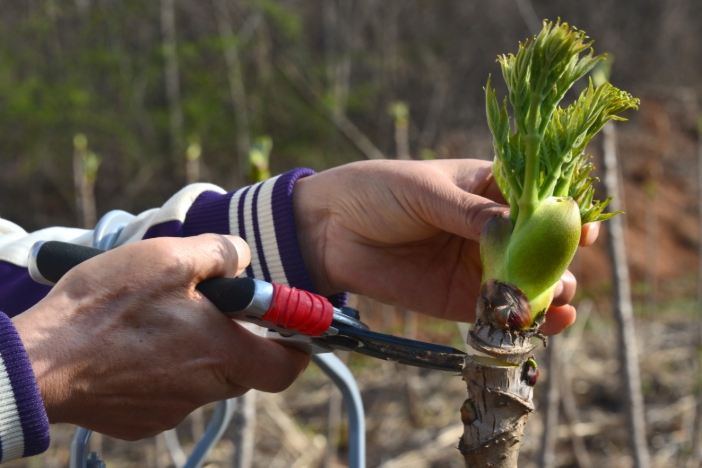 2025년도 임업·산림 공익직접지불금 지급