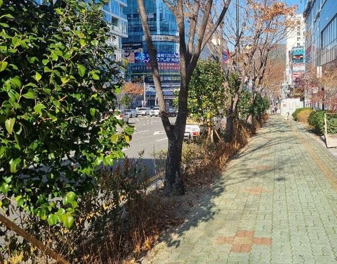 (사진제공=부산 기장군)