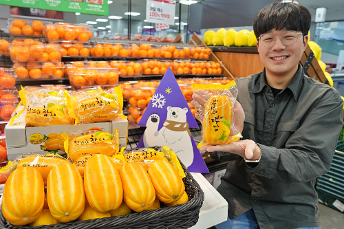 롯데마트, 겨울 참외 ‘참스런 참외’ 1개 4990원에 판매