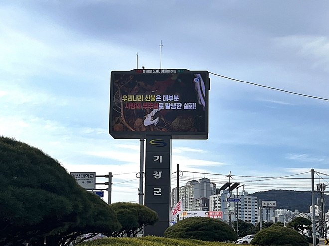 부산 기장군 기장읍 교리삼거리에 설치된 대형 재해문자전광판.(제공=부산 기장군)
