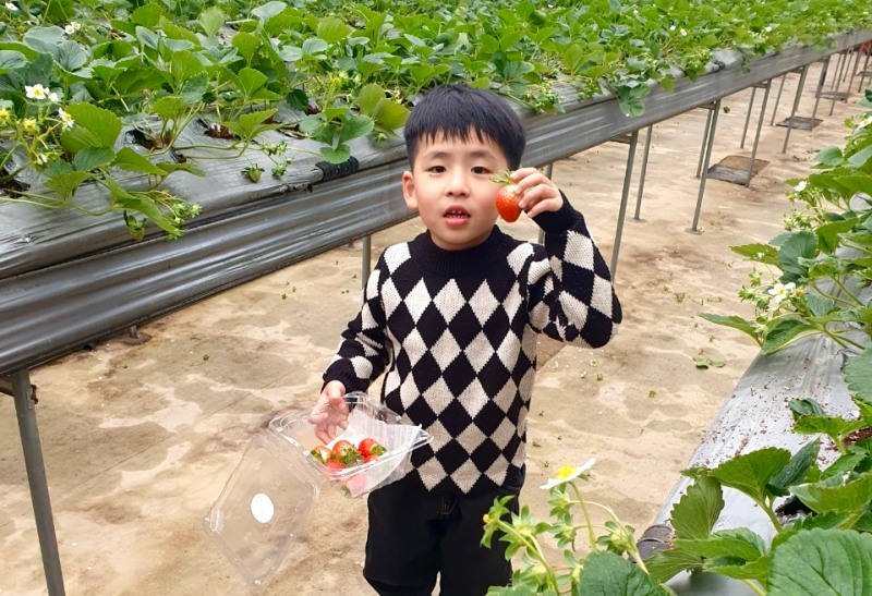 이랜드파크 켄싱턴호텔앤리조트, 겨울방학 맞아 ‘농장 체험’ 테마 패키지 운영