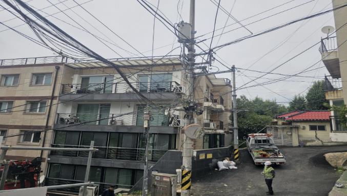 전선경합 위험수목 처리(후)