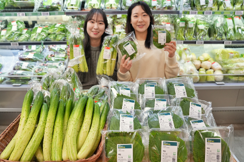 롯데마트, 스마트팜 재배 채소 판매