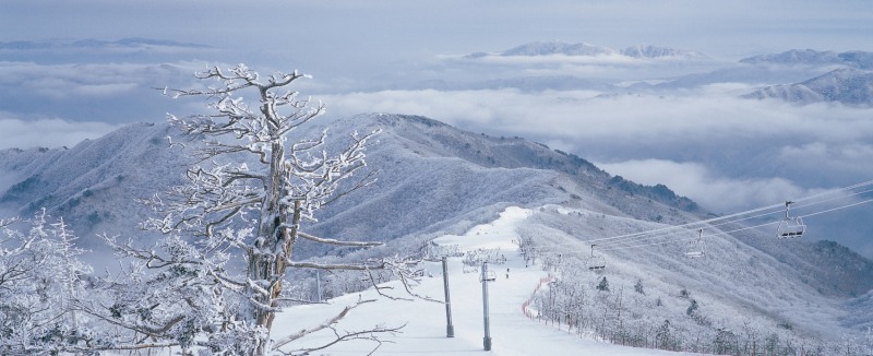 무주덕유산리조트 설천봉 슬로프 전경.(사진=부영그룹)